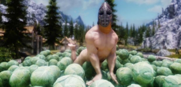 This was the most safe for work image in the first two pages of a google image search for Skyrim Mods.